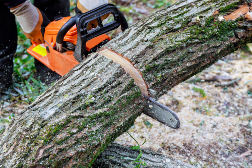 garner nc tree services