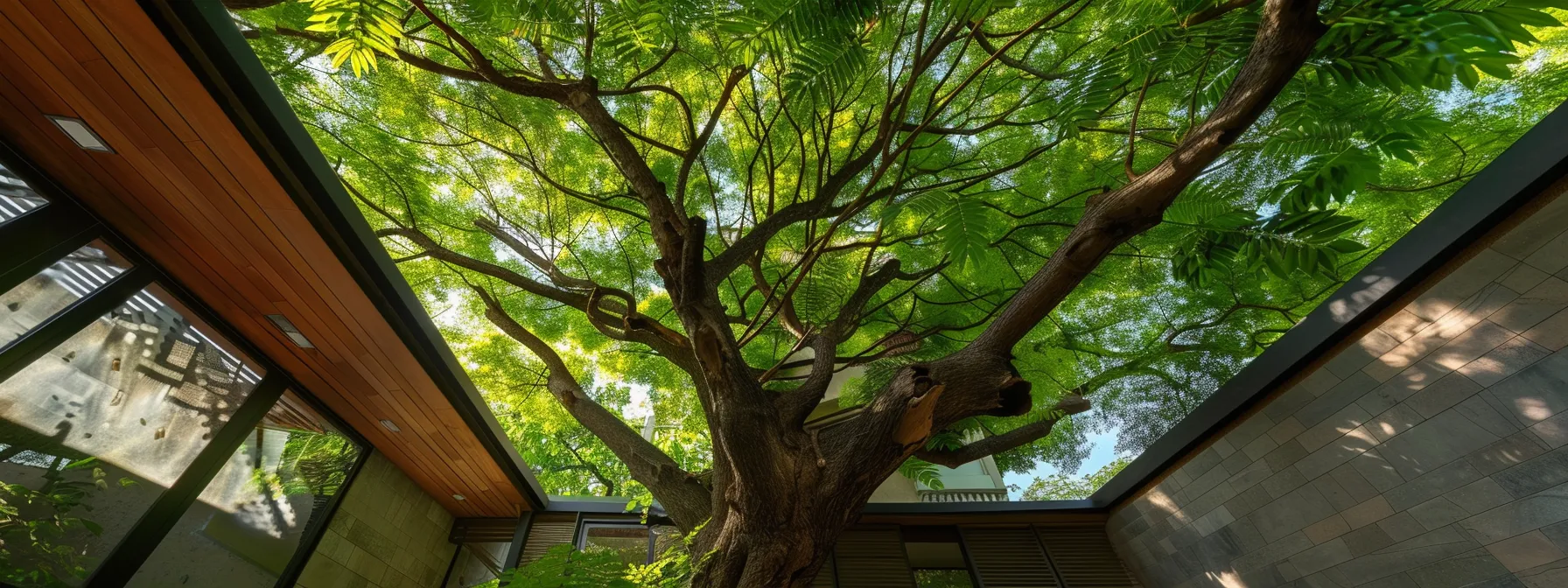 a towering tree with branches stretching over a roof, surrounded by a well-kept garden with a stump remover nearby, highlighting the complexities of evaluating specific tree removal needs.