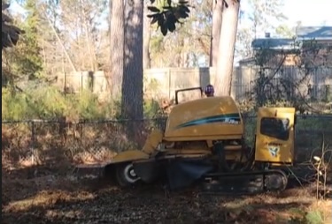 a tree removal expert in raleigh, wearing protective gear, carefully lowering a large tree branch to the ground.