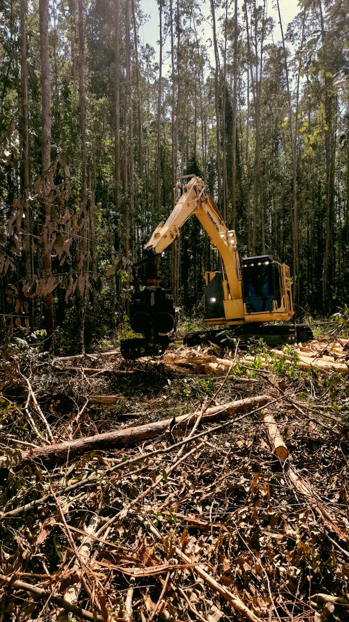 brand-01 A powerful excavator clearing tall trees in a dense forest setting.