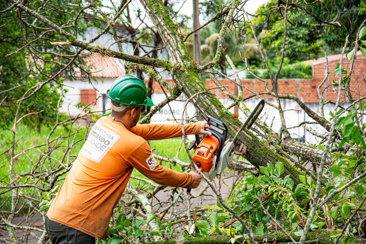 mobile-02 Worker cutting tree branches with a chainsaw in Londrina, Brazil, performing city maintenance.