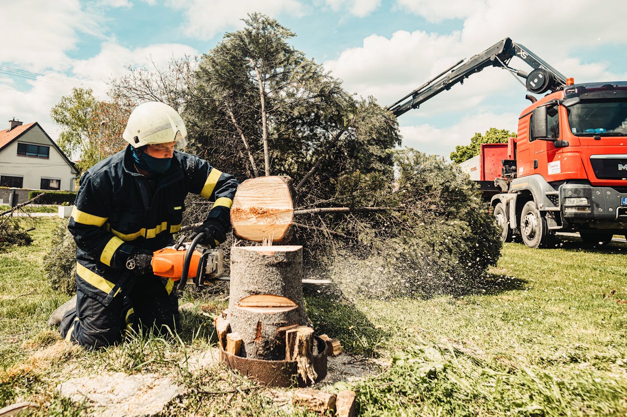 digital-01 A firefighter uses a chainsaw to cut a tree stump while a truck assists in an outdoor setting.