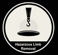 limb removal s
