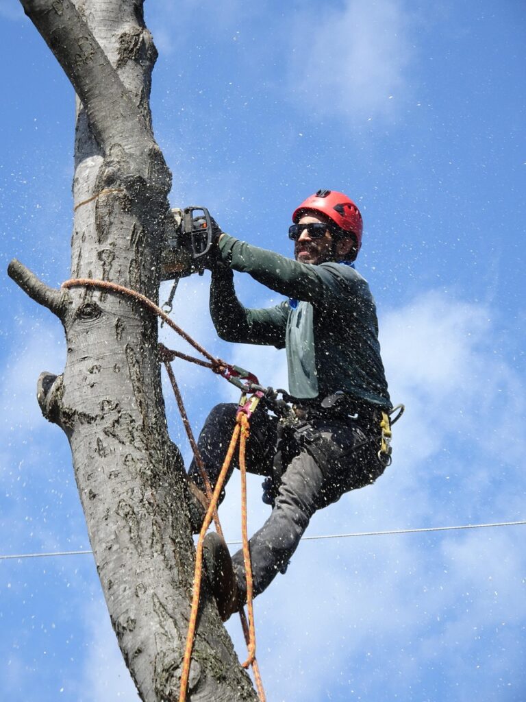 Tree Service Garner NC
