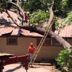 Tree Service in Raleigh NC -Ashland Tree Service