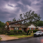 Storm-damaged tree fallen against a house in Raleigh NC requiring emergency tree removal