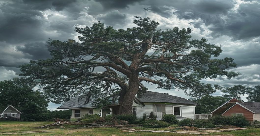 Large storm-damaged tree down across a residential yard and fence in Garner NC after a Wake County summer storm