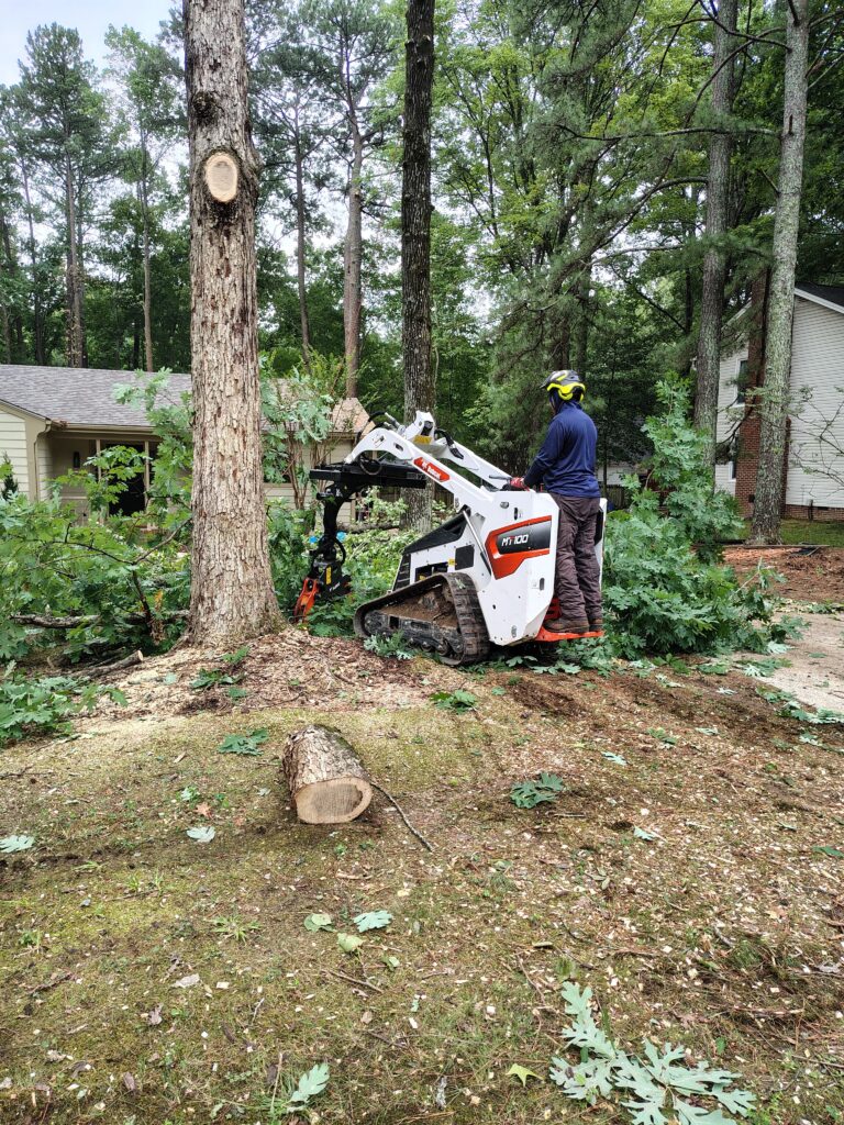 Ashland Tree Service arborist operating a Bobcat MT100 track loader with grapple to clear oak brush beside a tall pine in Raleigh NC