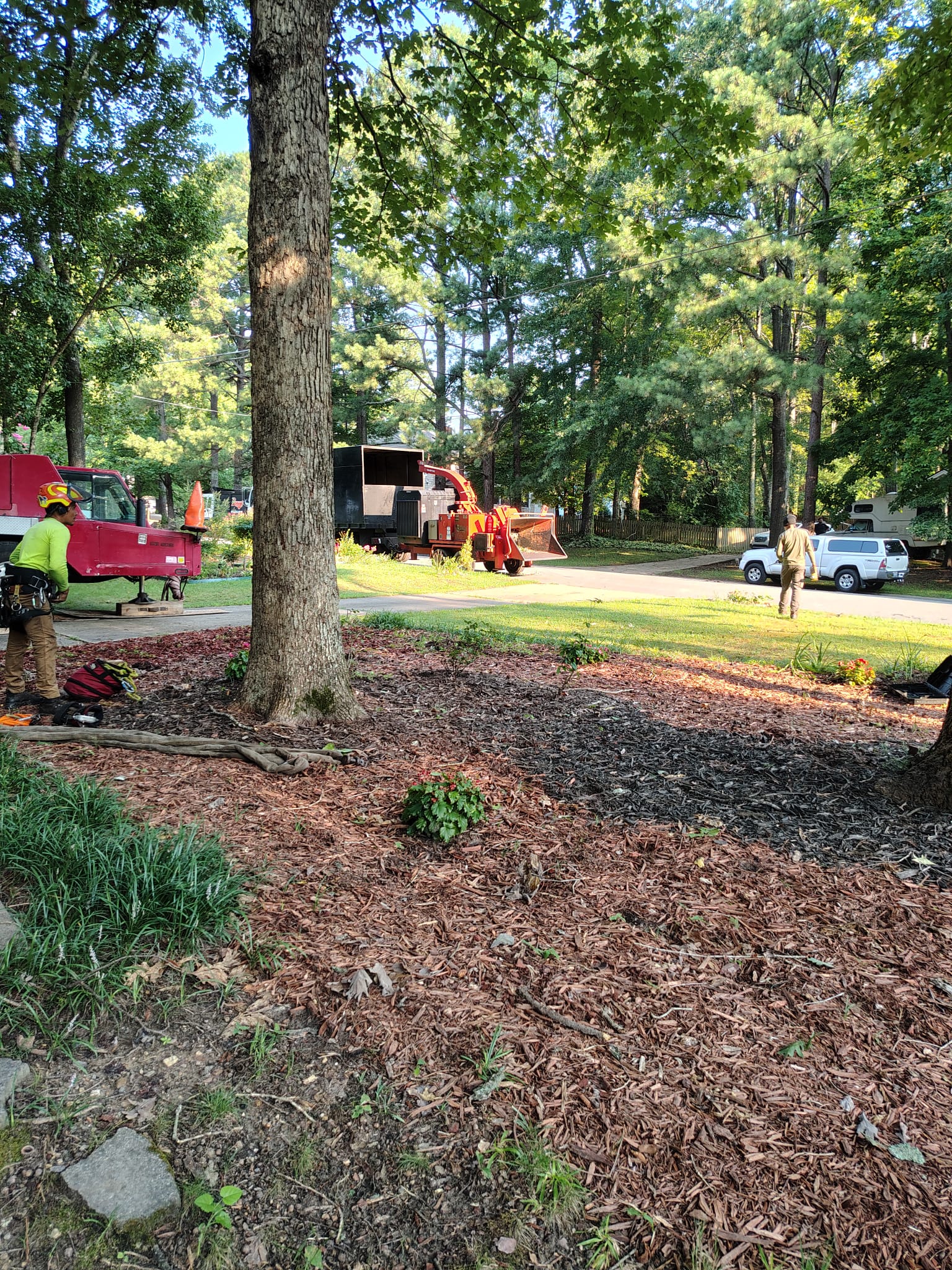 Ashland Tree Service professional tree removal crew with hi-vis gear at a Raleigh NC job site