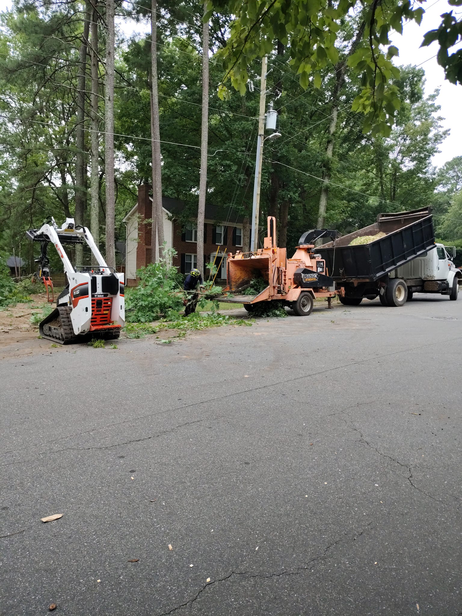 Ashland Tree Service equipment fleet - Bobcat skid steer, wood chipper and dump truck at a Raleigh NC job site