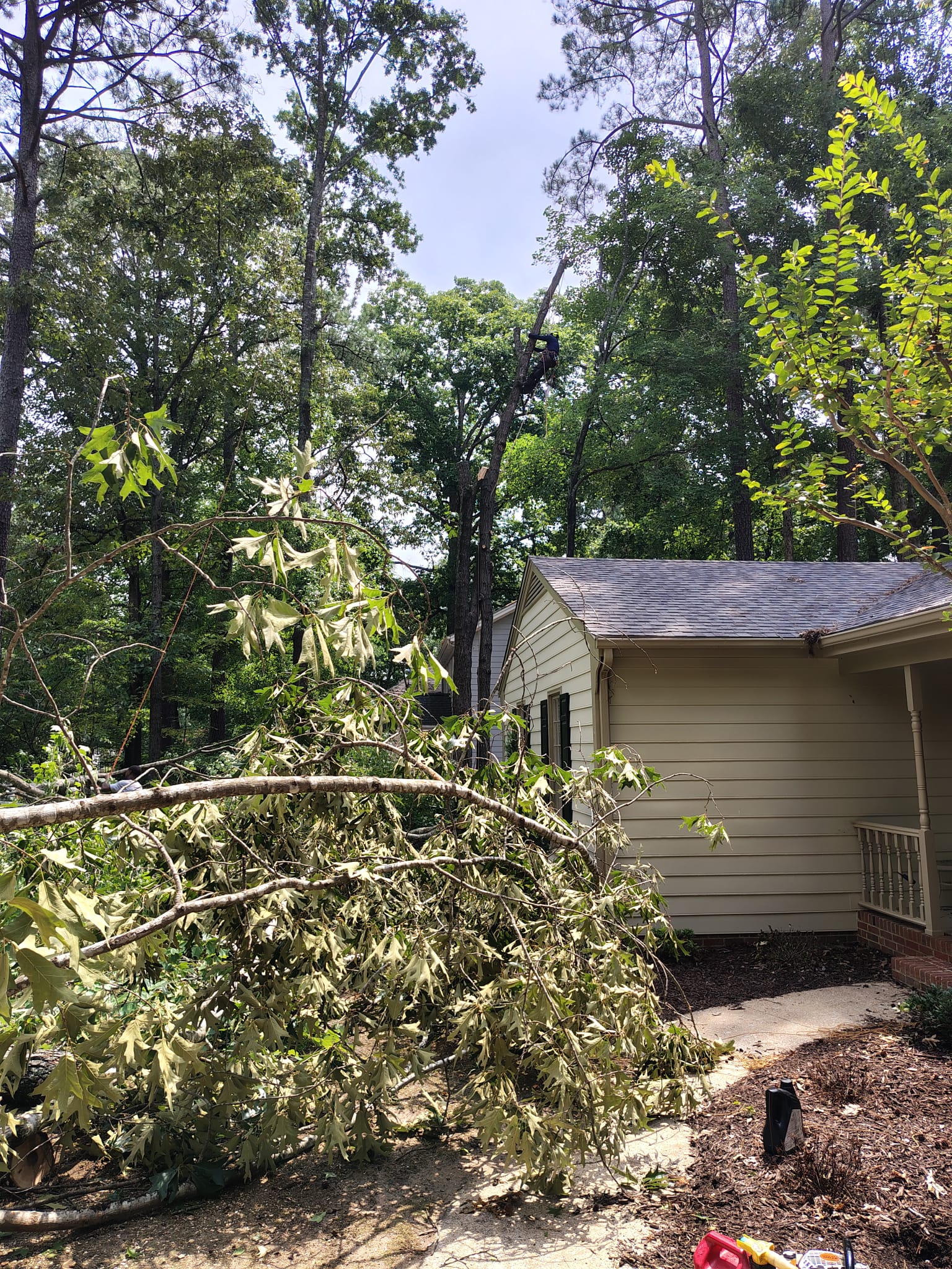 Storm damaged tree with large limb fallen near a residential structure in Raleigh NC - emergency tree removal