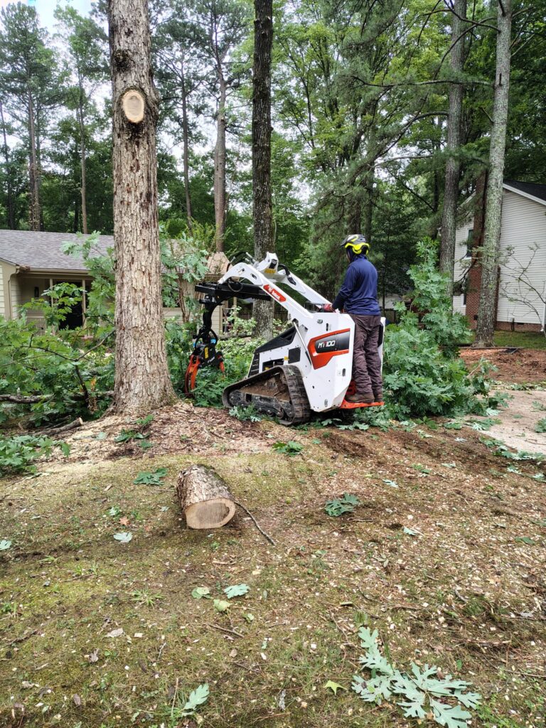 Ashland Tree Service crew member operating a Bobcat mini track loader with a grapple beside a cut tree trunk during a removal in a Raleigh NC yard