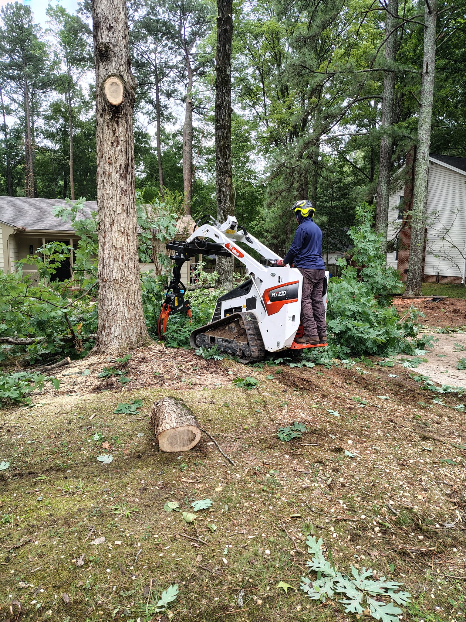 Ashland Tree Service crew operating a Bobcat tracked skid steer during tree removal in Raleigh NC