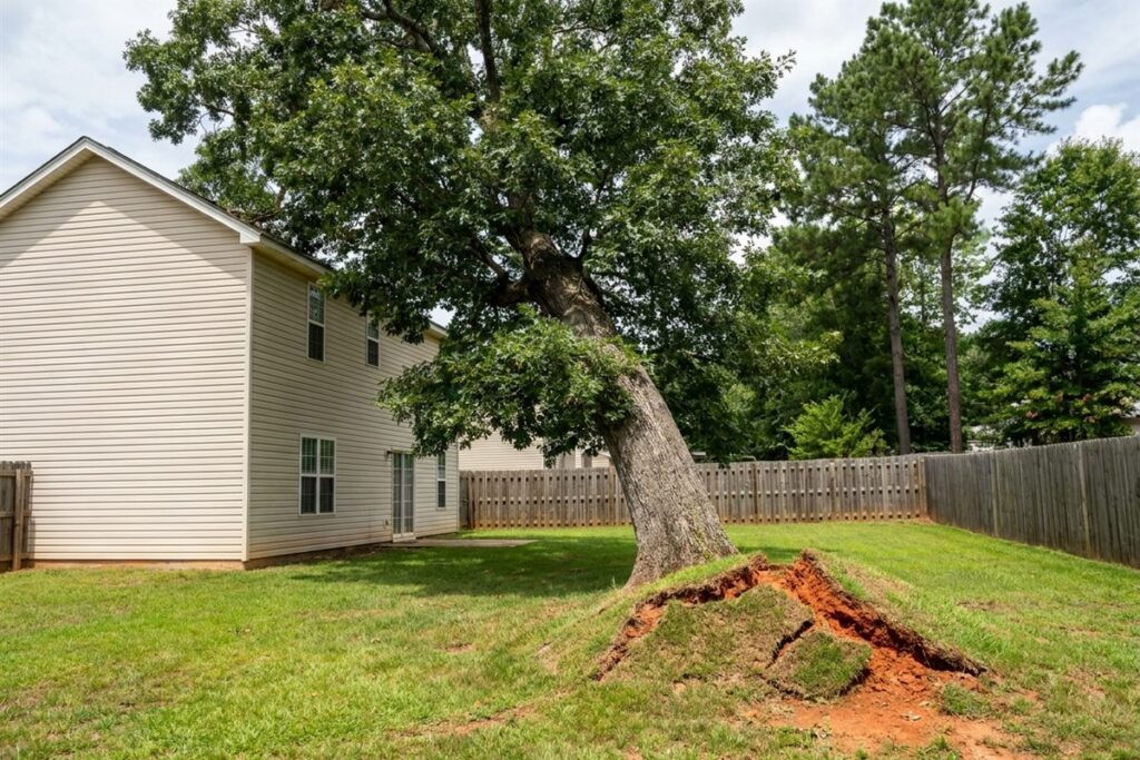 Mature oak leaning toward a two-story house in a Raleigh NC backyard with red clay soil heaved up on the far side of the trunk