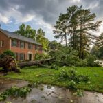 Large oak tree uprooted across the front lawn of a brick house after a storm in Raleigh NC