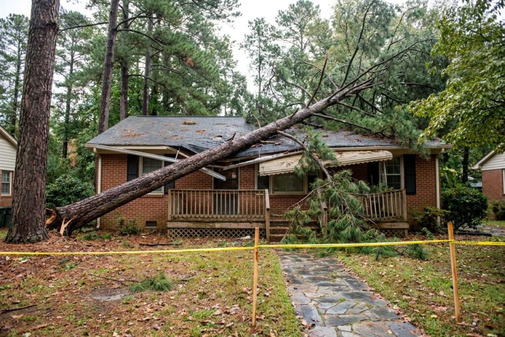 Pine tree fallen onto the roof and front porch of a brick ranch house after a storm in Raleigh NC