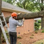 Arborist with a pruning saw beside a heavy oak limb next to a Raleigh NC home