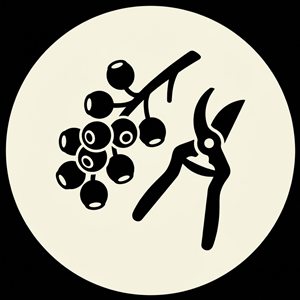 Crepe myrtle seed pod removal icon