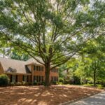 Large willow oak with a balanced, well-pruned canopy shading a brick home in Raleigh NC
